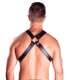 Harness Mister B Top Snap Studs 600105