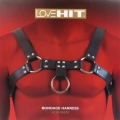 Harness Virgite Love Hit Men 2