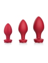 Kit Plug Anal Rose Butt 2406354