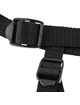 Strap On Fetish Fantasy Universal,PD3461-23
