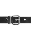 HARNESS ATTRACTION - RNES TAYLOR DELUXE 18 X 4.5CM D-224925