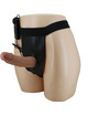 PRETTY LOVE - HARNESS BRIEFS CON VIBRACION DILDO INCLUIDO