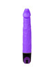 BAILE - VIBRATOR MULTISPEED 21.5 CM MORADO
