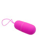 Ovo Vibratório Pretty Love Arvin com Comando Roxo,D-208185