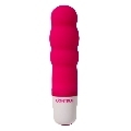 control - velvet secret mini stimulator