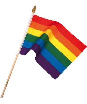 Bandeira Arco-Íris de mão com tronco 30 x 45 cm,833501 Bandeira Arco-Íris de mão com tronco 30 x 45 cm,833501