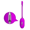 pretty love - shock fun vibrating egg and electroshock