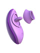 Estimulador de Clitóris Fantasy for Her Fun Time Roxo