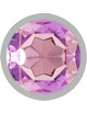 intense - aluminum metal anal plug with violet crystal size s D-234365