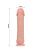 baile - the big penis natural realistic dildo 26 cm D-218776