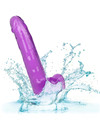 california exotics - size queen dildo purple 20.3 cm D-229172