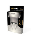 coquette - chic desire vegan leather necklace woman fetish accessory D-226912