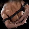 sir richards - command biceps bender