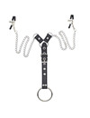 ohmama fetish - nipple clamps with chains and penis ring D-230016