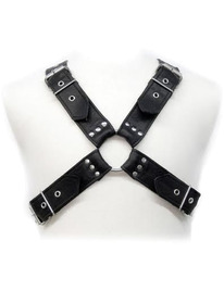leather body - buckles harness