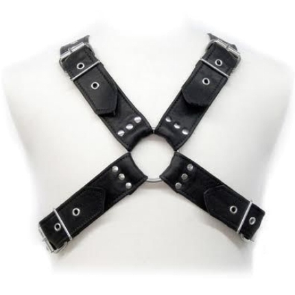 leather body - buckles harness