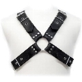leather body - buckles harness