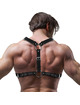 fetish submissive attitude - eco-leather chest harness with double support and studs for men D-235869
