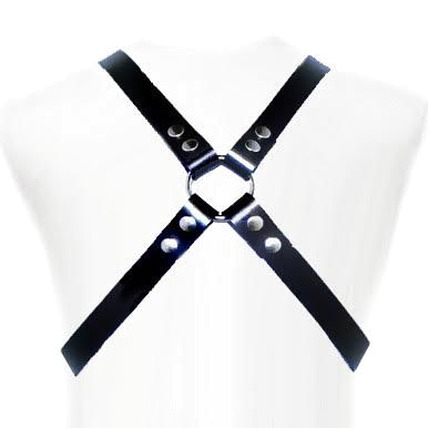 leather body - basic harness