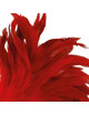 Darkness - pluma estimuladora rojo 24cm