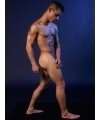 Masturbador Fleshlight Brent Everett Ecstasy,127016