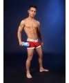 Masturbador Fleshlight Brent Everett Ecstasy,127016