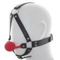 The harness for the Head with the Gag