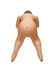 Boneca Insuflável Calexotics Back Door Babe