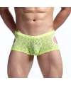 Mini-Boxers em Renda Transparente,124002