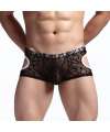 Mini-Boxers Lace Transparent 124002