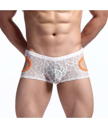 Mini-Boxers em Renda Transparente,124002