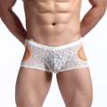 Mini-Boxers em Renda Transparente