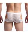 Mini-Boxers em Renda Transparente,124002