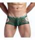 Mini-Boxers Lace Transparent 124002