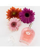 Perfume com Feromonas Eye of Love One Love 50 ml