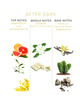 eye of love - eol phr perfume feromonas 10 ml - after dark