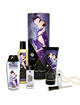 Kit de Massagem Shunga Prazeres Carnais