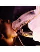 play wiv me - molde de hielo pene grande