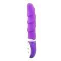 Vibrator Aphrodisia Wild Flirt Silicone Purple 18 cm