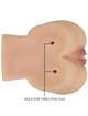 crazy bull - realistic vagina and anus kylie vibrator