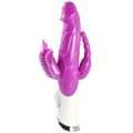 Vibrador Rabbit Personal Massager 27 cm
