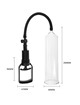 pretty love - alexander erection pump