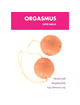 Bolas de Kegel Seven Creations Látex