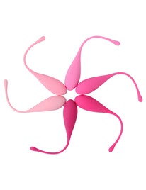 leslie - kegel fit pelvic muscle training set 6 weights