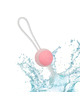 california exotics - she-ology set bolas kegel intercambiables