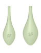 satisfyer - yoni power 2 training set green
