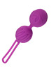 Bolas de Kegel Adrien Lastic Geisha S Roxo