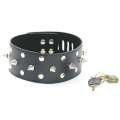 Collar with Spikes and Padlock