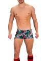 Shorts Barcode Short Jayden Grey Green Red 131001