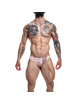 cut4men - low rise brief rainbow l